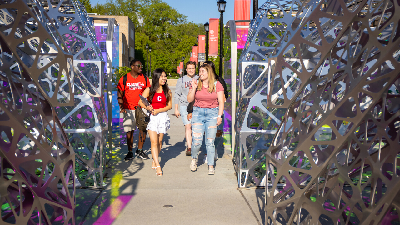 Students walking outside