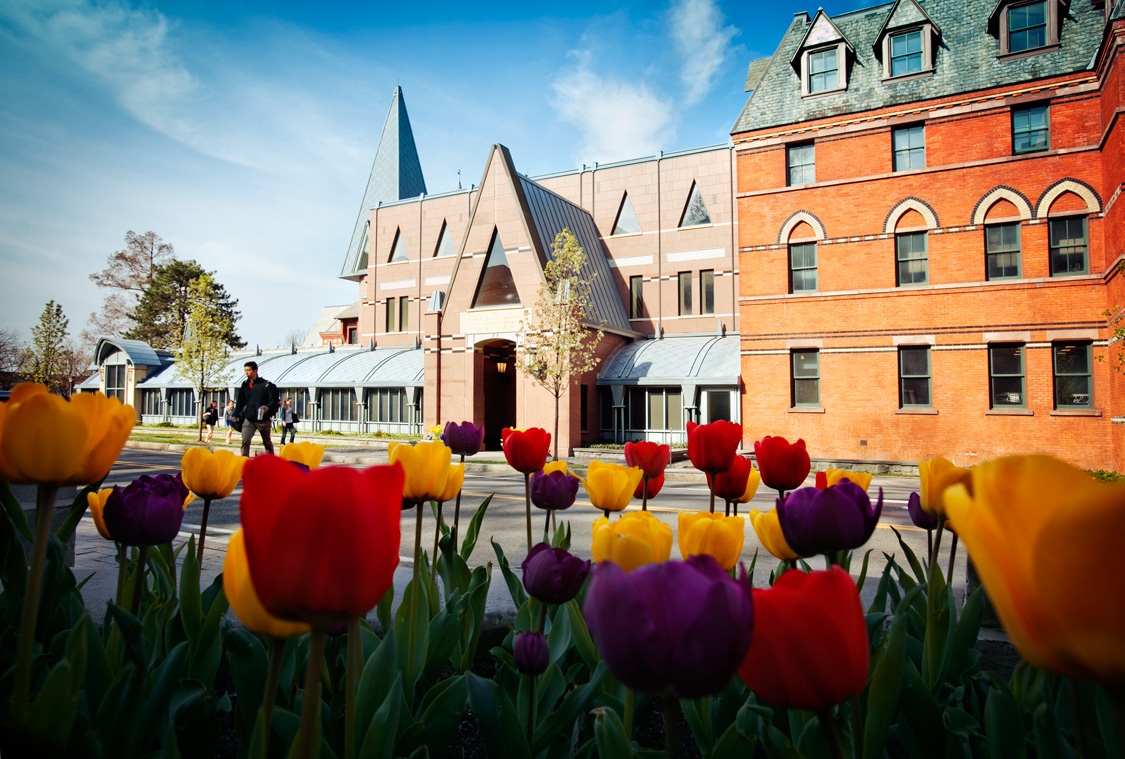 Tulips outside Sage Hall in spring.